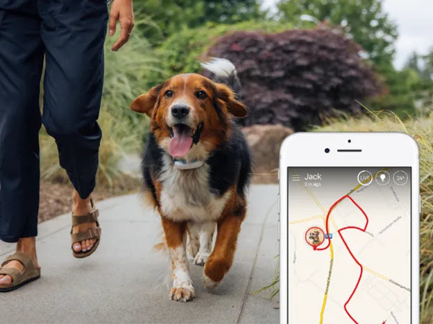 PawGuard Nyomkövető