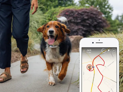 PawGuard Nyomkövető